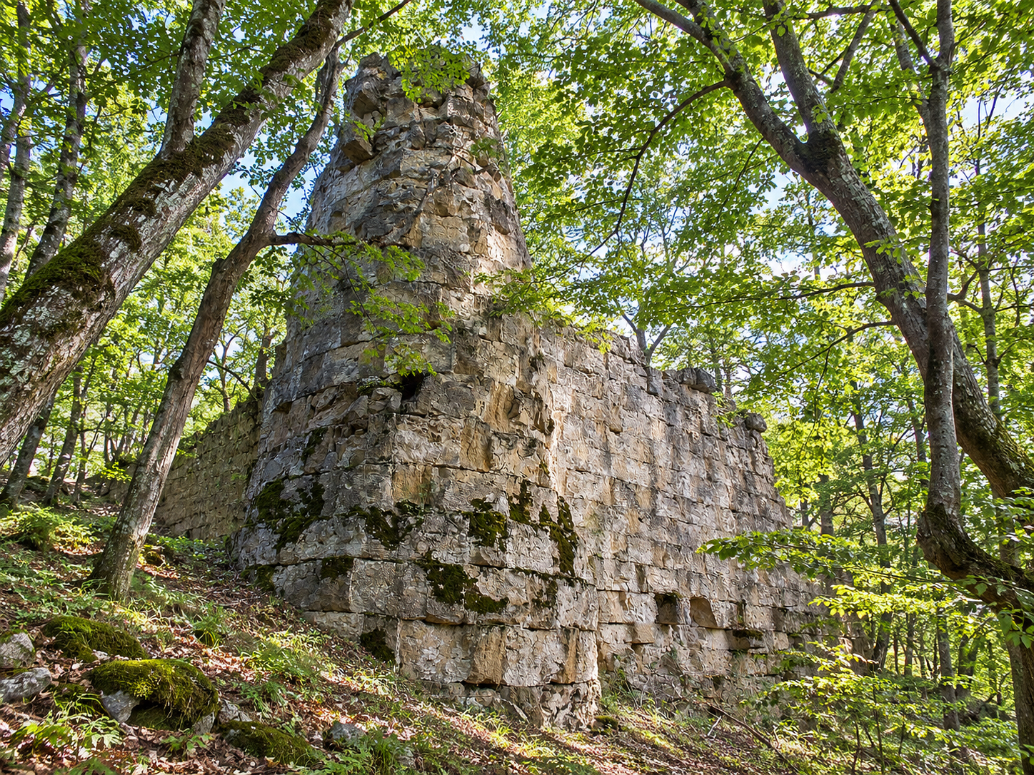 Угловая башня и куртина стены в лесу